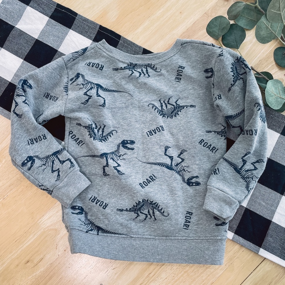 Boys Dino Pullover sweatshirt